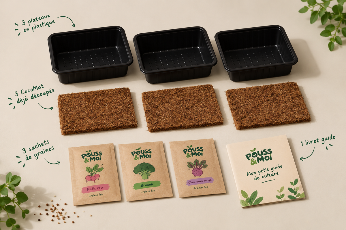 Quelles graines de micropousses choisir ? Comparatif des variétés pour débuter