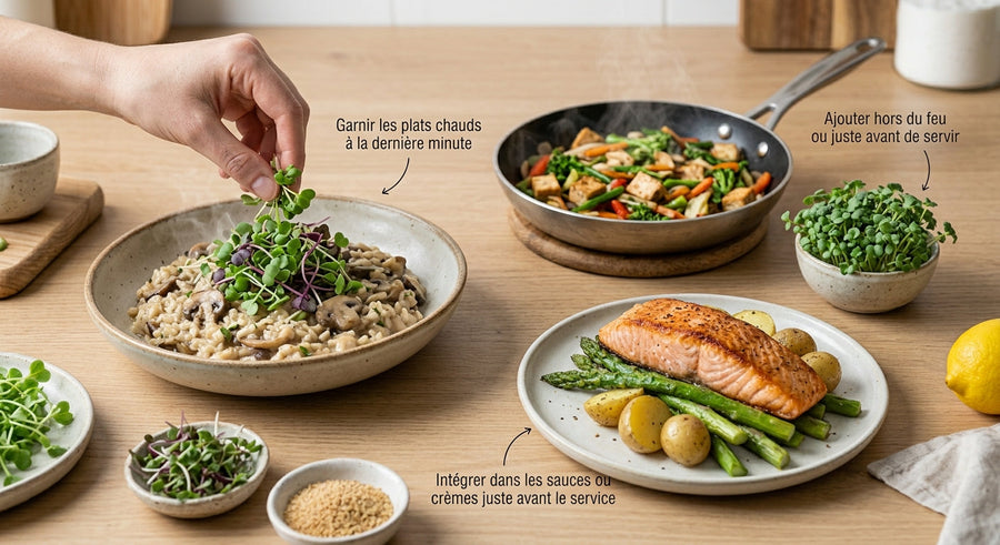 Comment utiliser les micropousses avec des plats chauds sans perdre leur fraîcheur ?