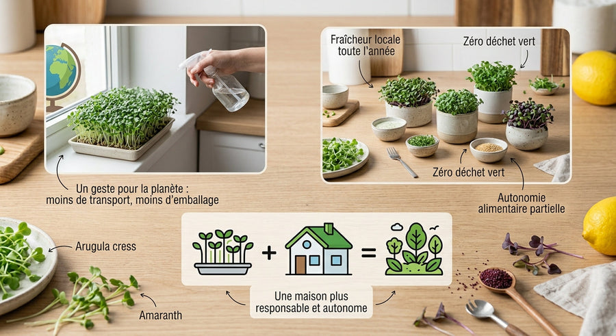 Cultiver des micropousses chez soi : quels intérêts au quotidien ?