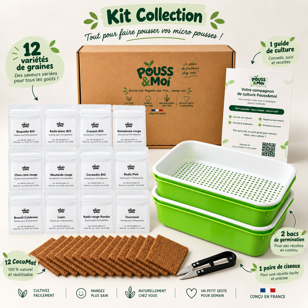 Schéma du Kit Collection : douze sachets de graines, douze CocoMat, deux bacs avec grilles, ciseaux et guide de culture.