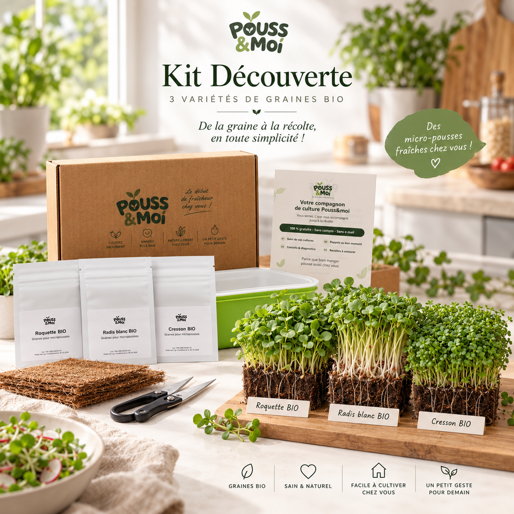 Présentation du Kit Découverte avec ses trois variétés de micropousses, les sachets de graines, les CocoMat, les ciseaux et le guide.